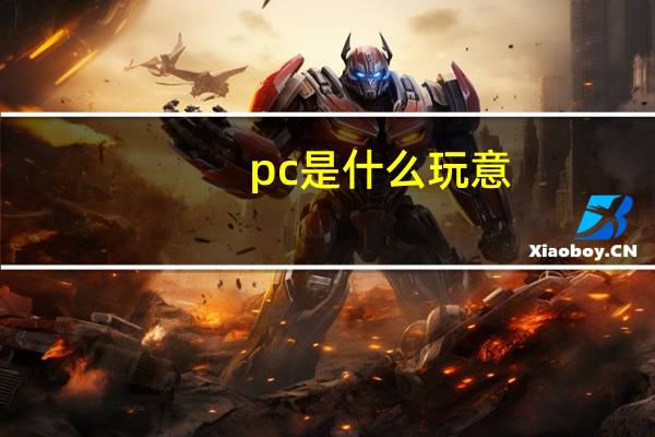 pc是什么玩意