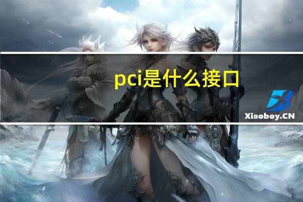pci是什么接口（pci是什么）
