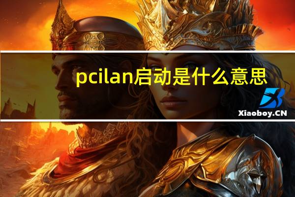 pcilan启动是什么意思