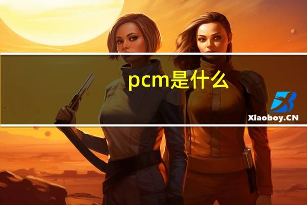 pcm是什么