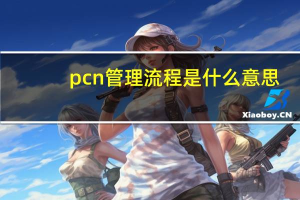 pcn管理流程是什么意思
