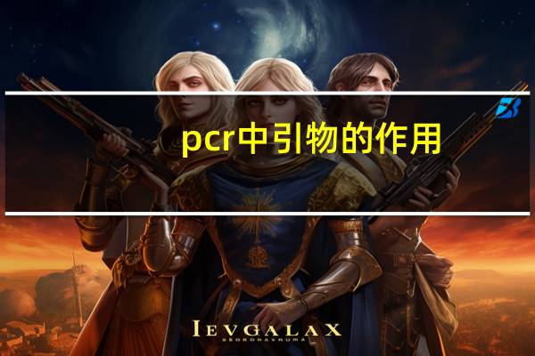 pcr中引物的作用