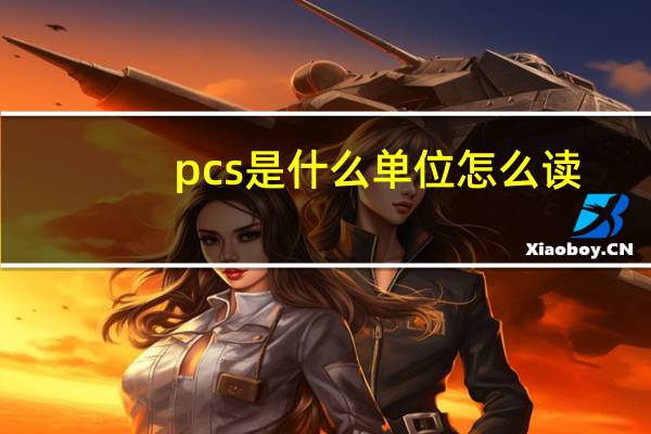 pcs是什么单位怎么读（pcs是什么单位）