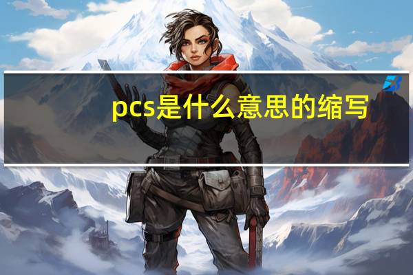 pcs是什么意思的缩写（pcs是什么意思）