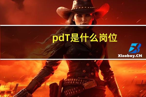 pdT是什么岗位