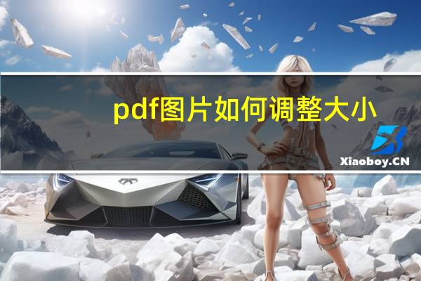 pdf图片如何调整大小