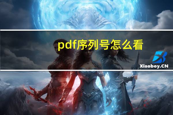 pdf序列号怎么看（pdf序列号）
