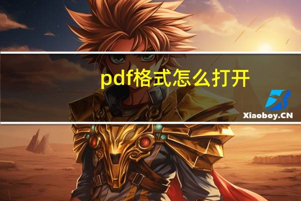 pdf格式怎么打开(怎样打开pdf格式的文件)