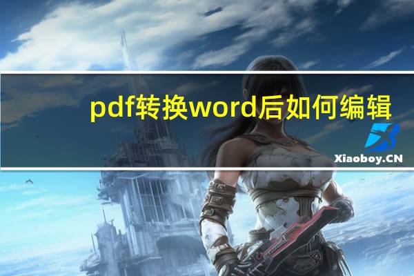 pdf转换word后如何编辑（怎样对PDF转换后的Word文件进行编辑）