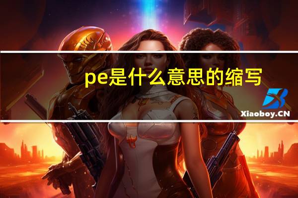 pe是什么意思的缩写（no 是什么意思的缩写）