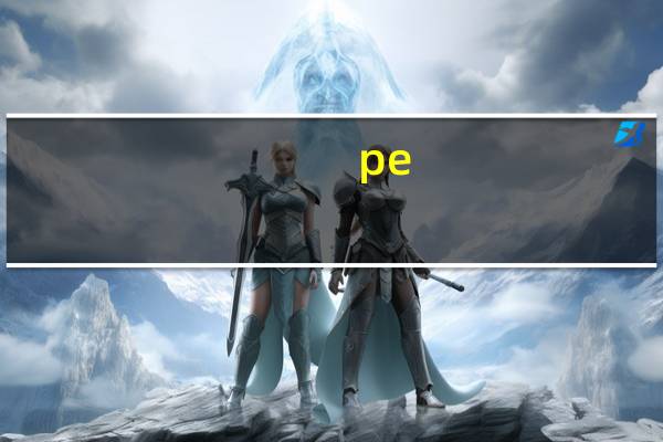 pe（关于pe的介绍）