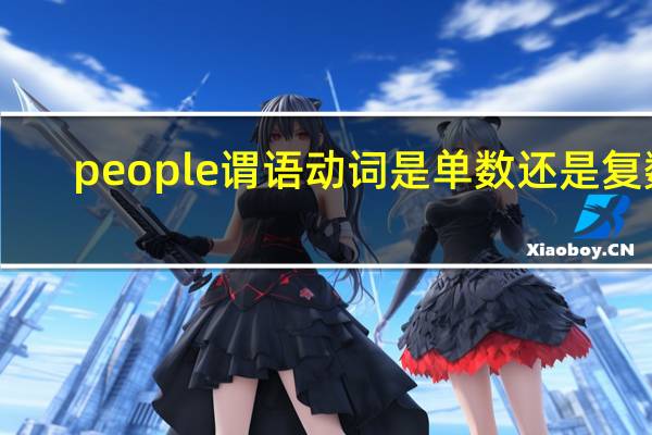 people谓语动词是单数还是复数