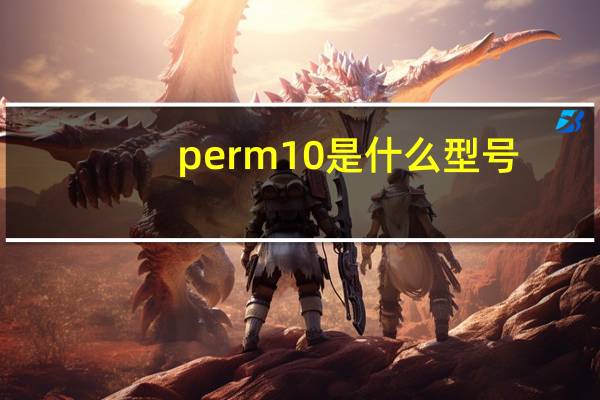 perm10是什么型号