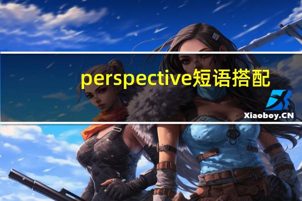 perspective短语搭配