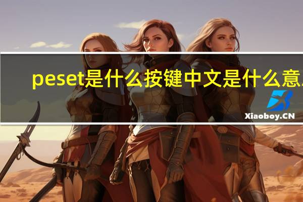 peset是什么按键中文是什么意思