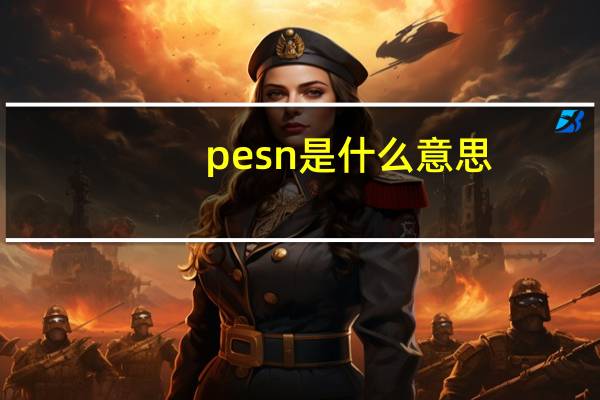 pesn是什么意思