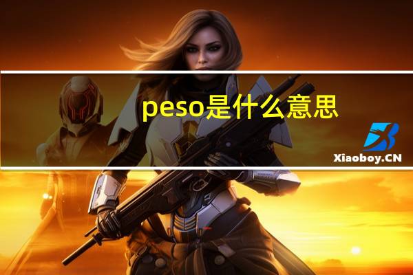 peso是什么意思