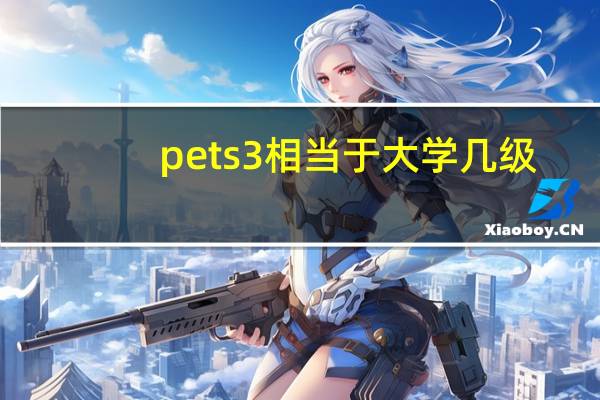 pets3相当于大学几级