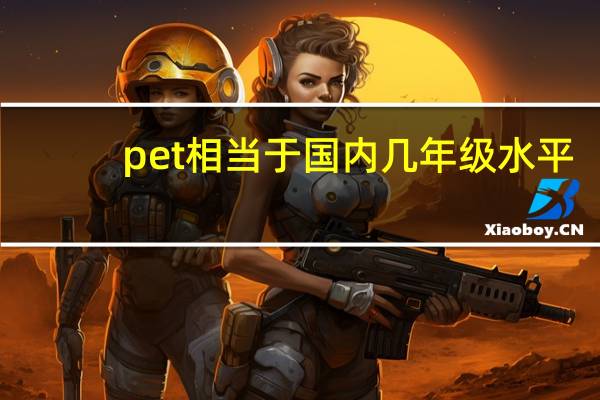 pet相当于国内几年级水平