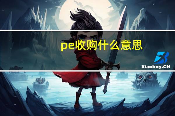 pe 收购什么意思