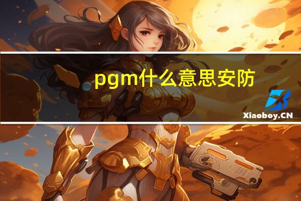 pgm什么意思安防