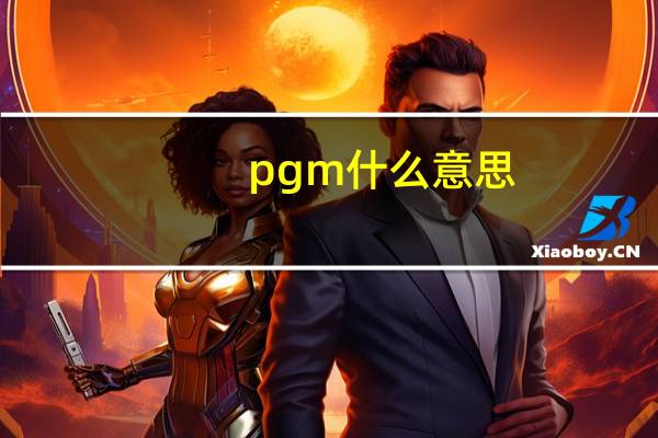 pgm什么意思（pgm）
