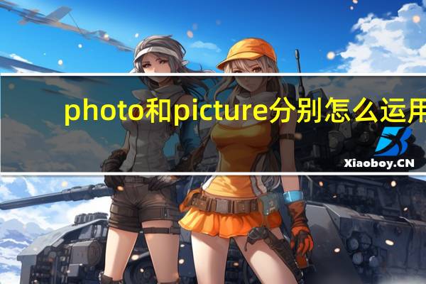 photo和picture分别怎么运用