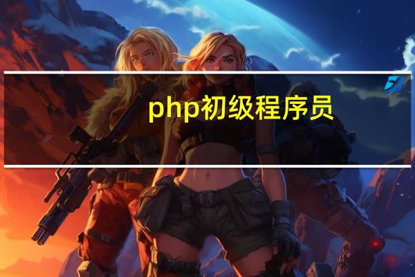 php初级程序员