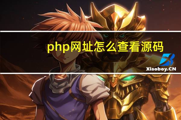 php网址怎么查看源码