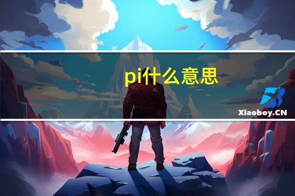 pi什么意思