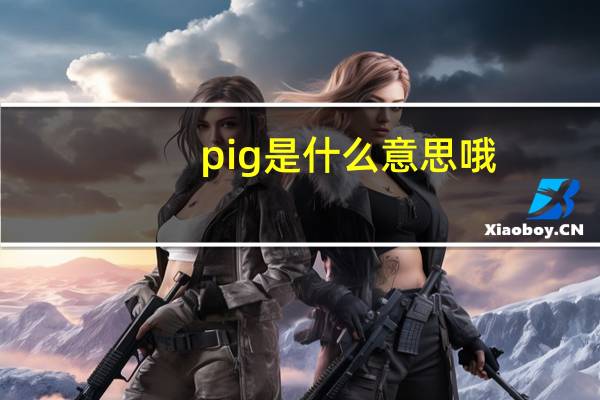 pig是什么意思哦