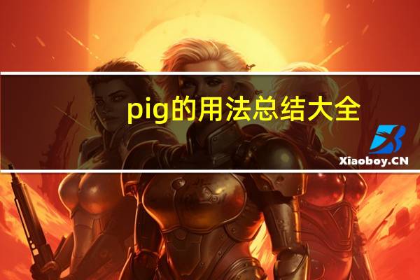 pig的用法总结大全