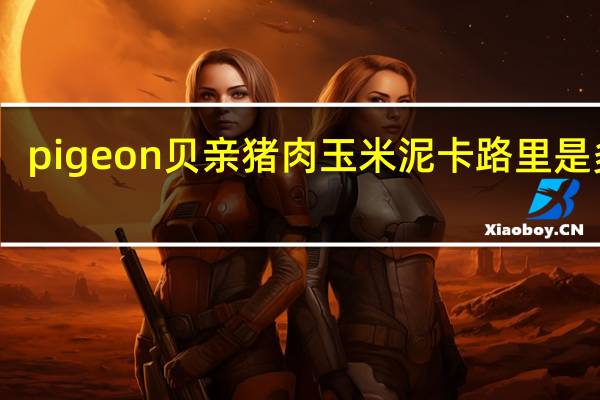 pigeon 贝亲 猪肉玉米泥卡路里是多少