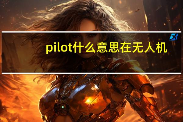 pilot什么意思在无人机(pilot什么意思)