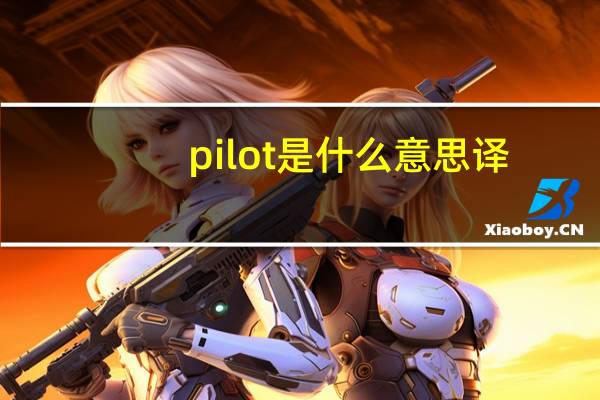 pilot是什么意思译