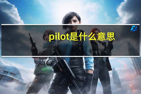 pilot是什么意思