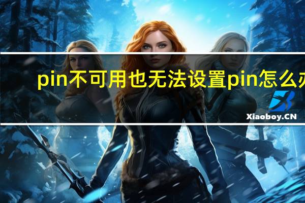 pin不可用也无法设置pin怎么办