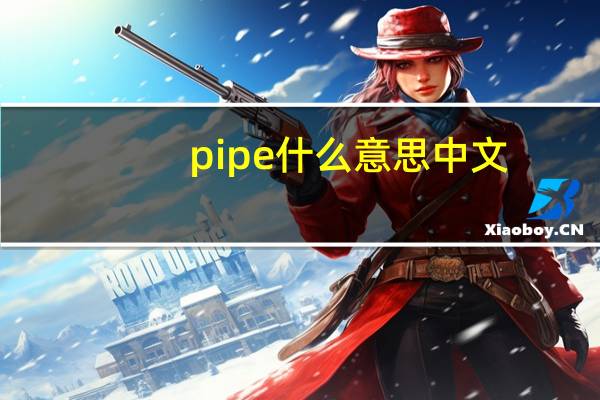 pipe什么意思中文