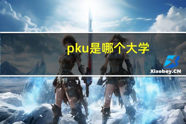 pku是哪个大学