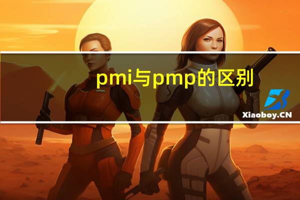 pmi与pmp的区别