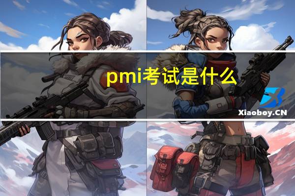pmi考试是什么