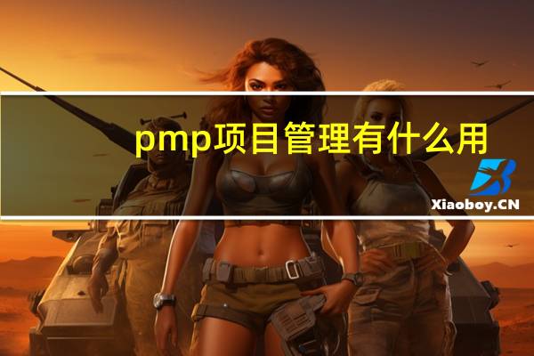 pmp项目管理有什么用