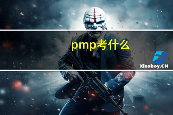 pmp考什么