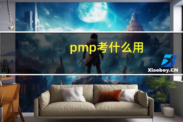 pmp考什么用