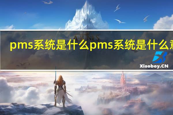 pms系统是什么 pms系统是什么意思
