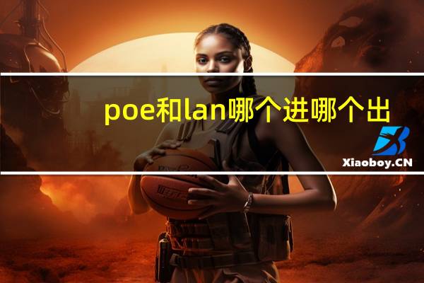 poe和lan哪个进哪个出