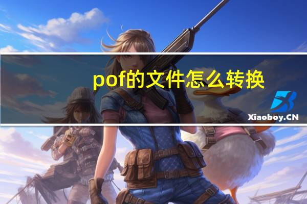 pof的文件怎么转换