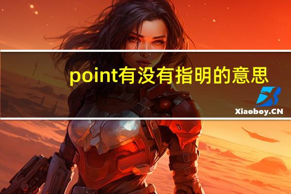 point有没有指明的意思