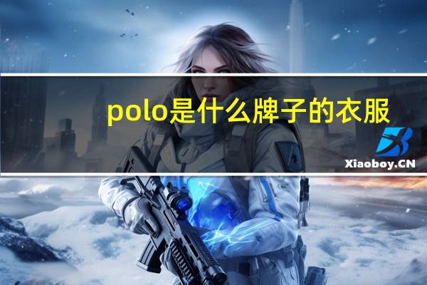 polo是什么牌子的衣服