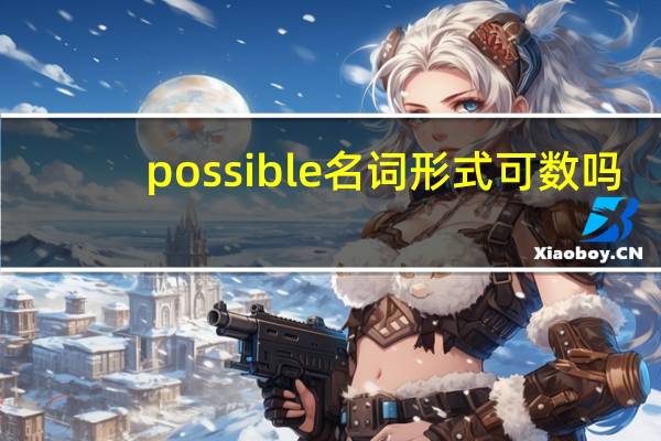 possible名词形式可数吗